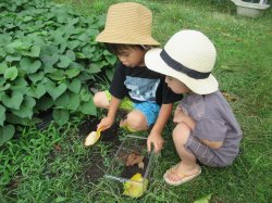 どんなお家にしようかな？畑の土を入れてみよう！