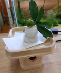 小さな鏡もちを作ったよ