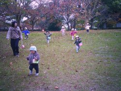 駆けてく駆けてく　しまっこちゃん(１歳児クラス)