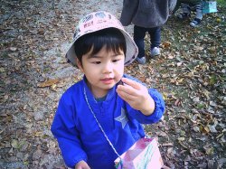 どんぐりみ～つけた