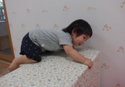 よいしょっと、よじ登る