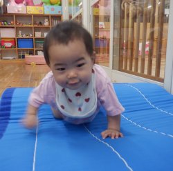ハイハイでデコボコ道をゆく